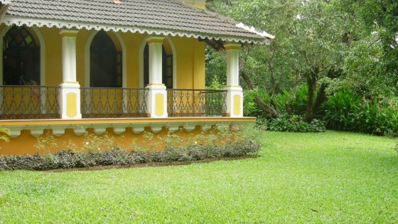 Garden Designers in Goa