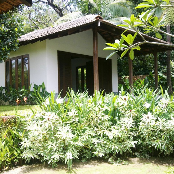 Landscapers Goa