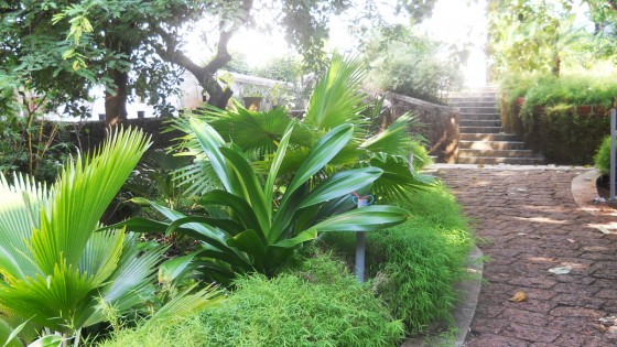 Landscaper in Goa