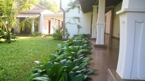 Gardens in Goa