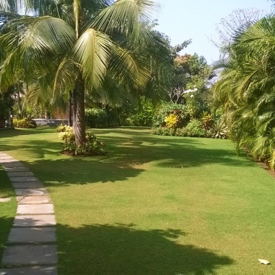 Landscape Maintenance Goa