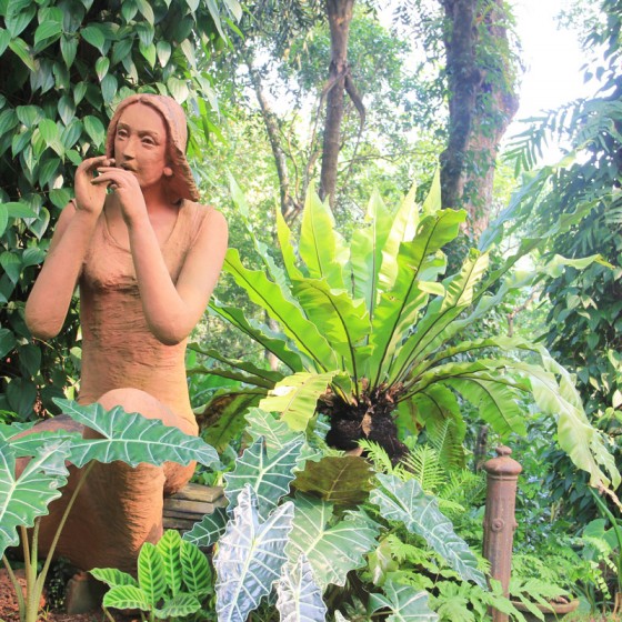 Garden Designer in Goa - Daniel D'Souza
