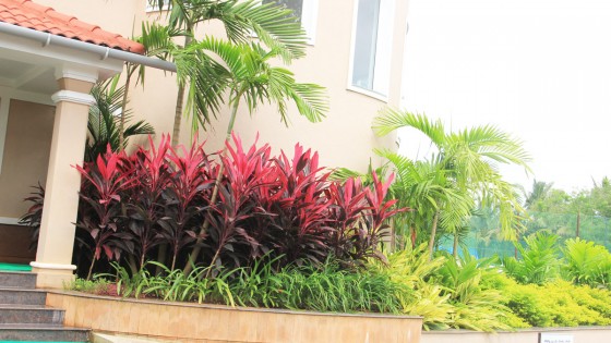 Garden Design Sevices in Goa