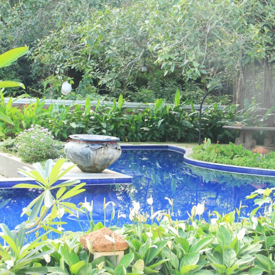 Garden Designs in Goa