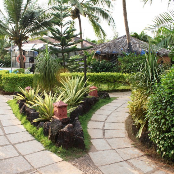 Garden Contractors in Goa